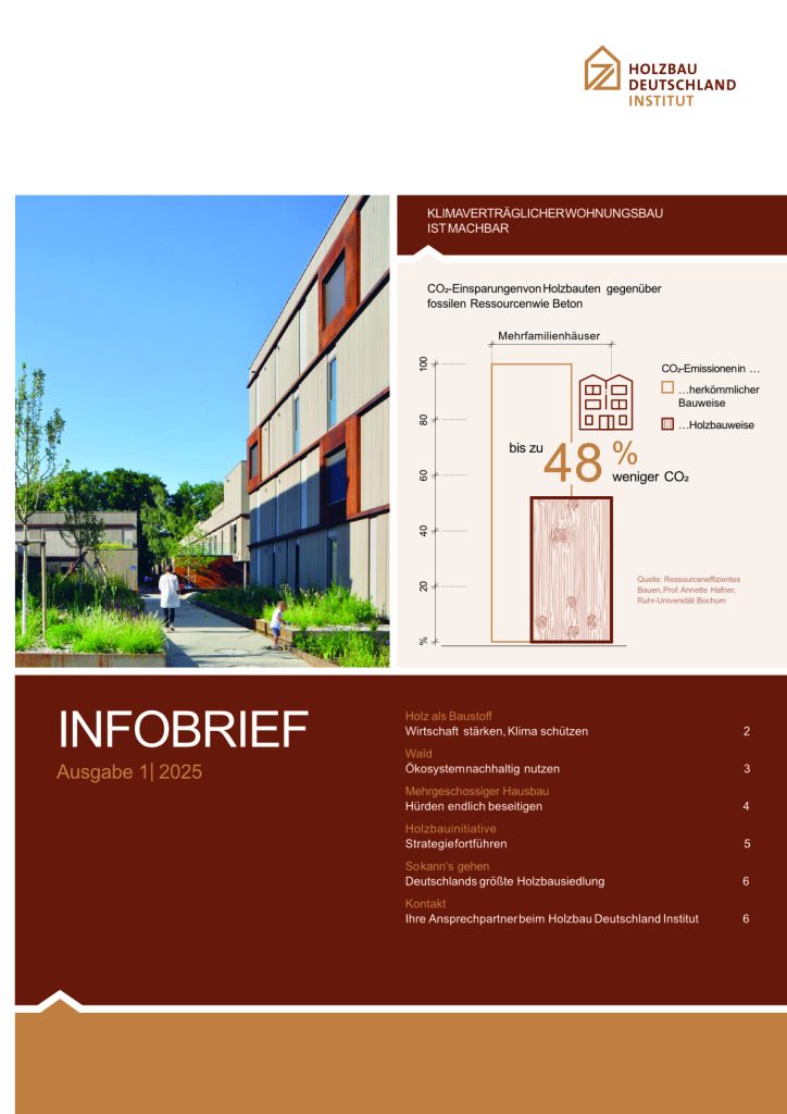 Infobrief Holzbau: Erste Ausgaben veröffentlicht