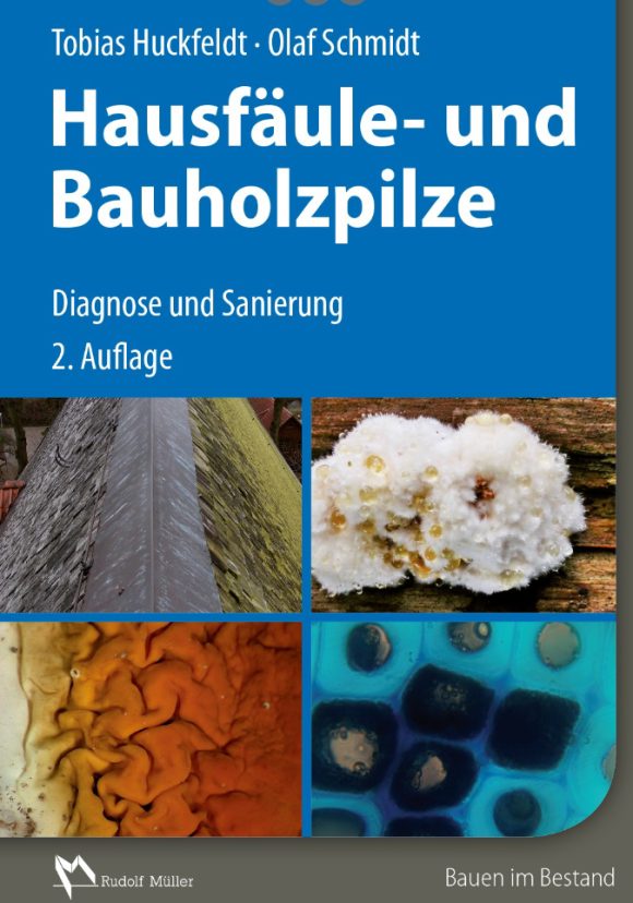 Literaturtipp: Hausfäule- und Bauholzpilze